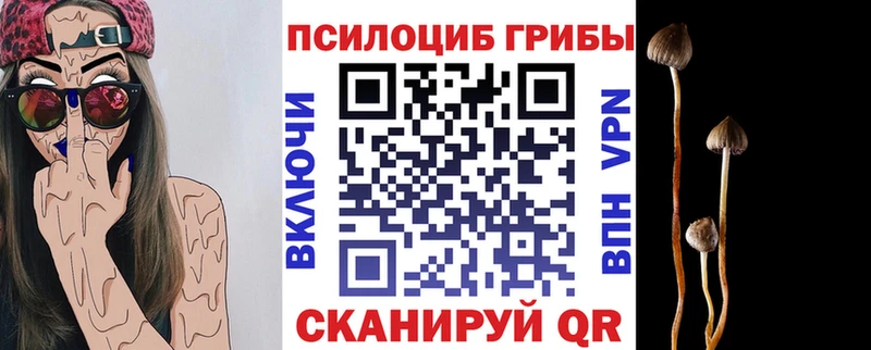 продажа наркотиков  Катайск  Галлюциногенные грибы Magic Shrooms 